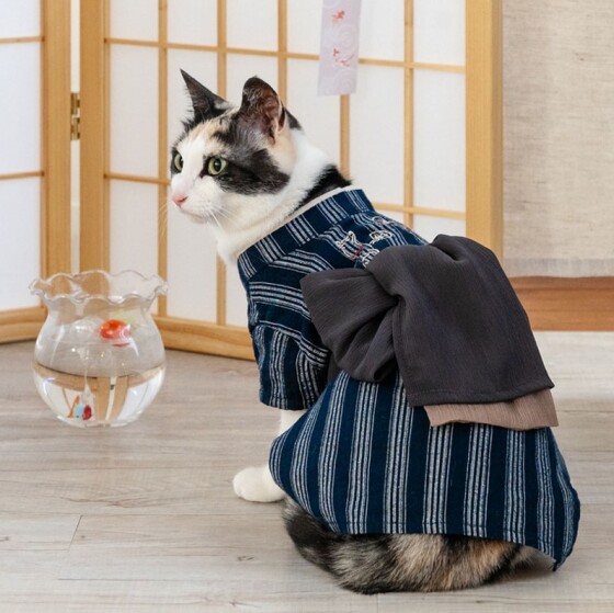 ペット用浴衣販売中