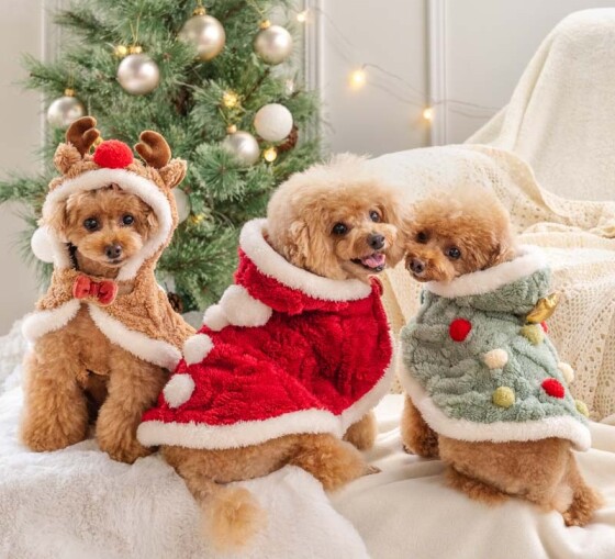 わんちゃん用クリスマス衣装販売中です♪
