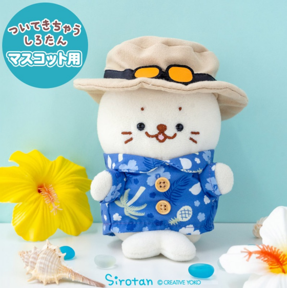 ついたん用夏セット入荷しました！
