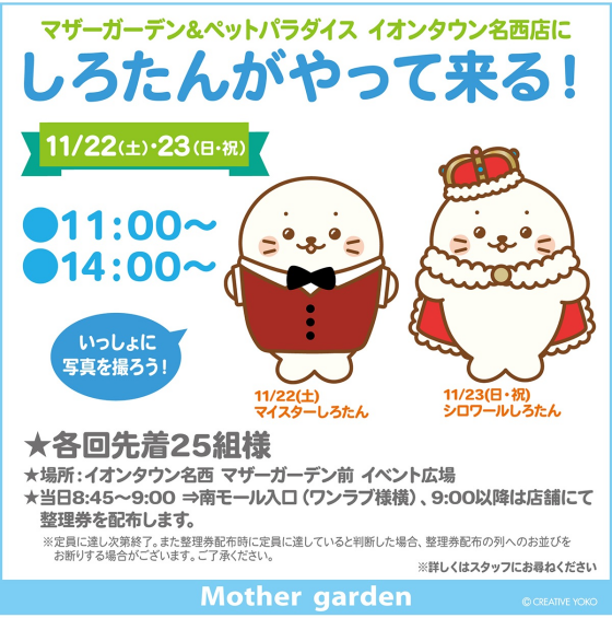 マイスターしろたん＆シロワールしろたんがやって来る！！