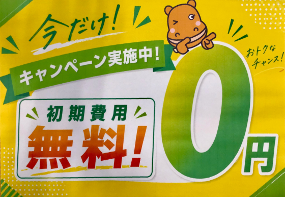 ５月限定🎏お得な入会キャンペーン開催中！