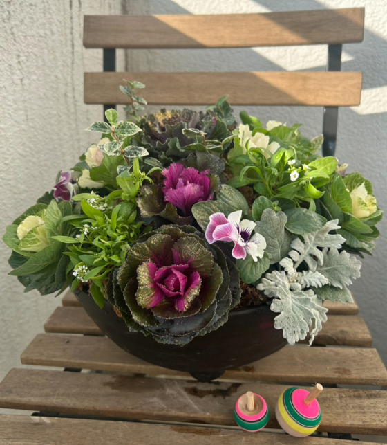 ウインターローズのドーム