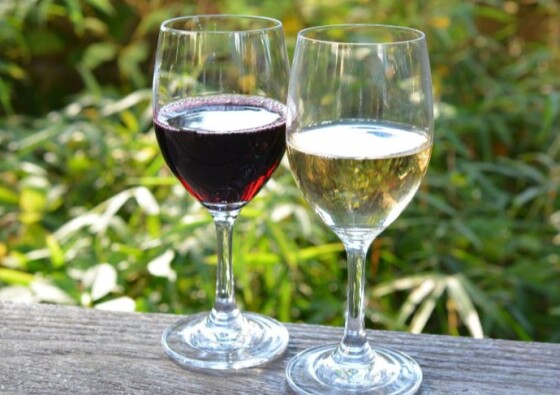 楽しいワイン講座