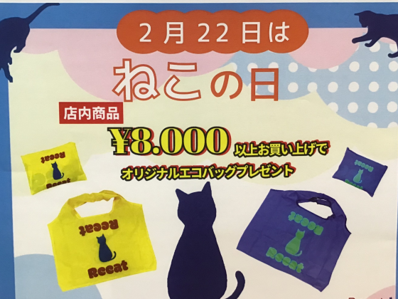 🐈‍⬛~🐈‍⬛~🐈‍⬛　2/22(日)はネコの日　🐈‍⬛~🐈‍⬛~🐈‍⬛
