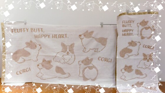 コーギーシリーズ再入荷のお知らせ❣