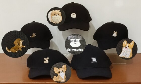 ダックスシリーズ再入荷のお知らせ❣