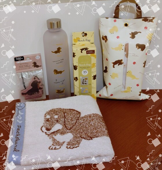 ダックスシリーズ再入荷のお知らせ❣