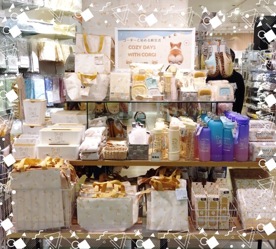 コーギー新商品入荷しました!