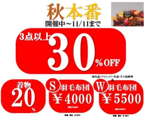 【もうすぐ冬？】３点以上30％OFF　羽毛布団クリーニングお済みですか？