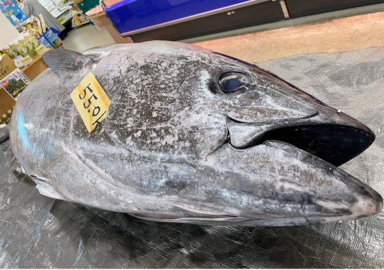 大間マグロ〔中トロ200g×1・赤身200g×1〕 ｜ 産直お取り寄せ