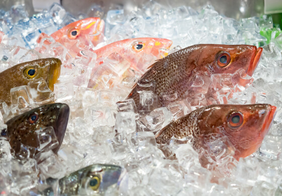 毎週土曜日はインスタフォローで全品10%OFF!