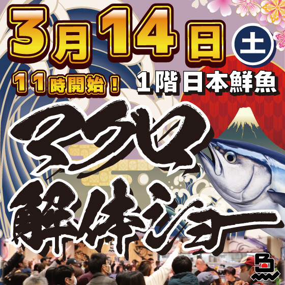 春のマグロ解体ショー3月14日（土）開催‼