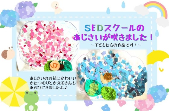 SEDスクールのあじさいです♪