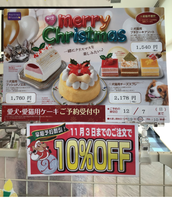 🍬ハロウィンイベント🎃　クリスマスケーキ予約開始🍰