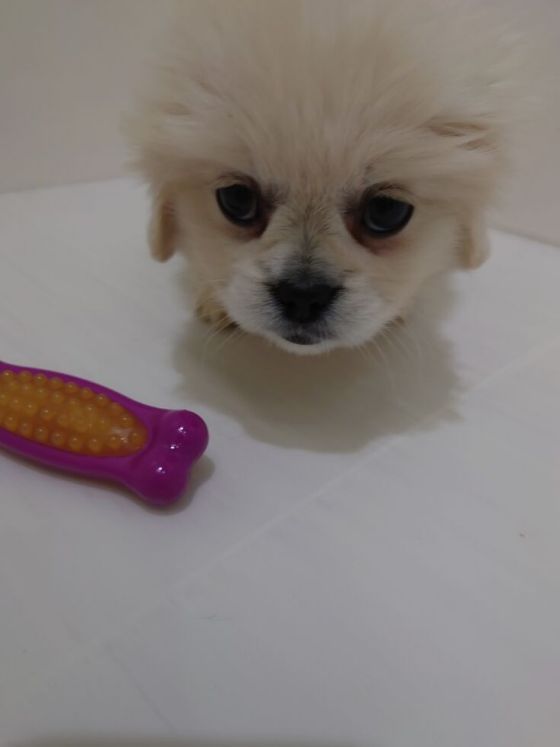 ワンラブ西熊本店のblog