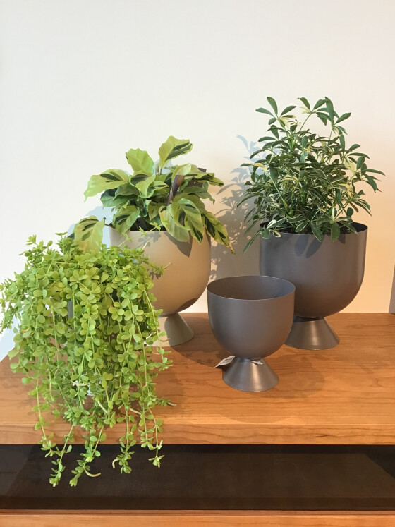 新作プラントポット