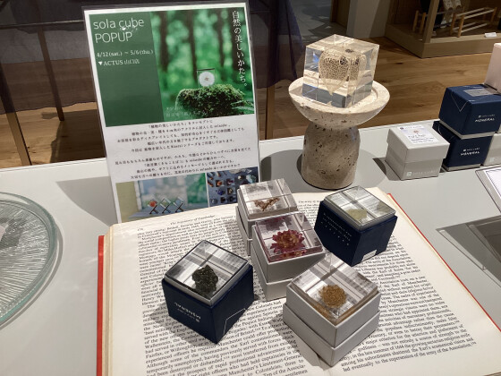  sola cube POPUP