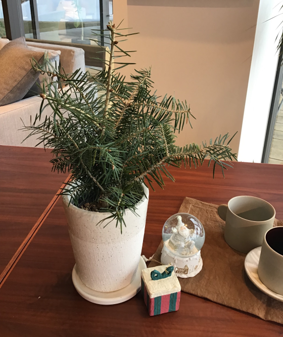 グリーン入荷いたしました！