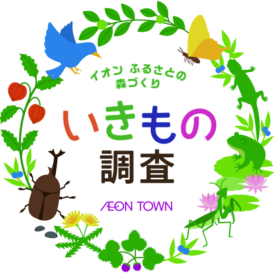 【参加者募集！】イオンふるさとの森づくり いきもの調査