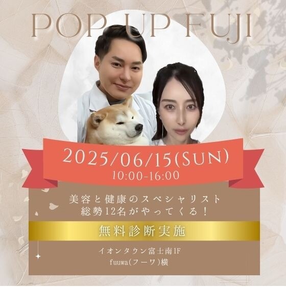 POP UP FUJI