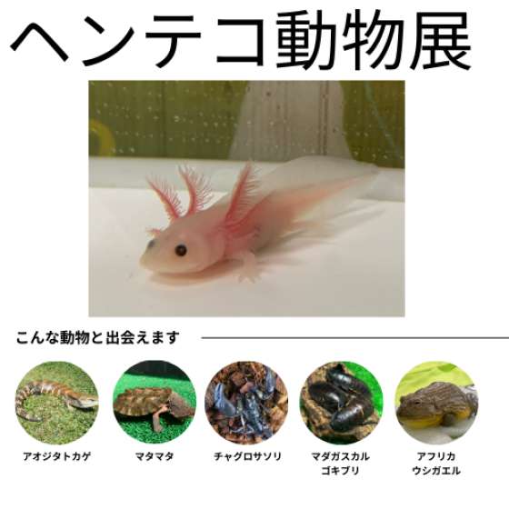 ヘンテコ動物展　～参加費無料～