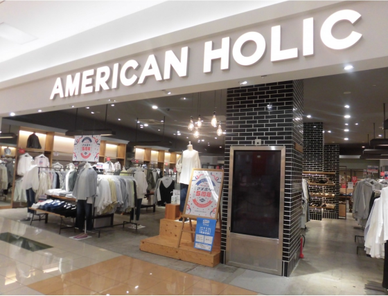 AMERICAN HOLIC