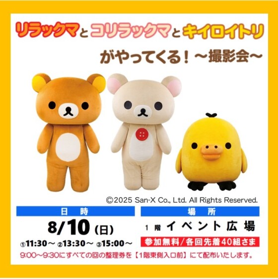 リラックマとコリラックマとキイロイトリ がやってくる！～撮影会～