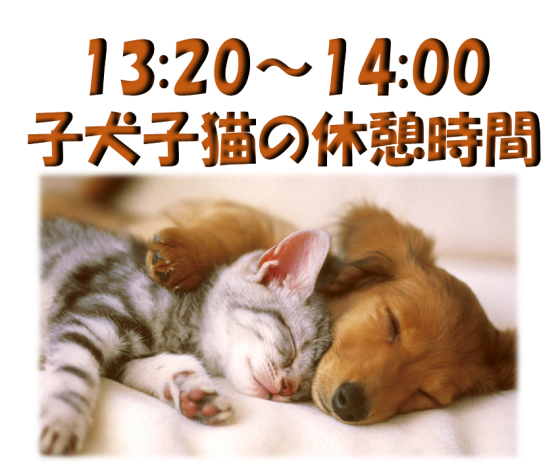 ワンちゃんネコちゃんの休憩時間