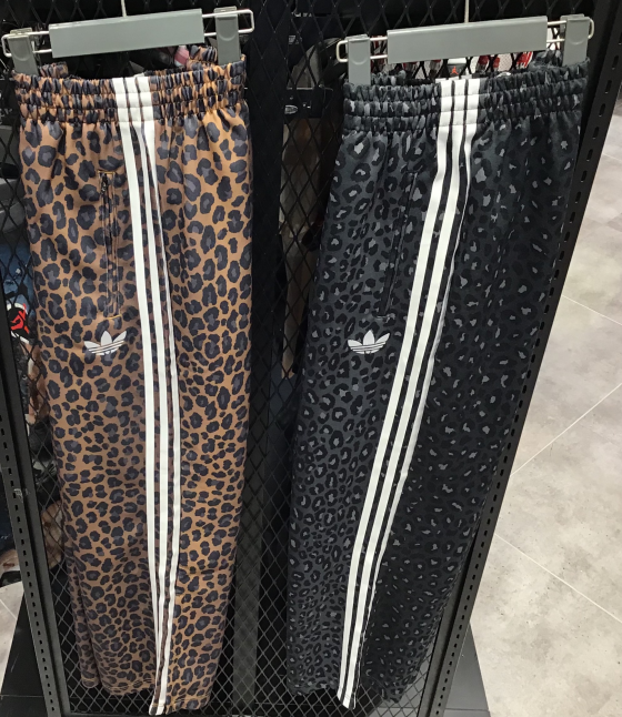 大人気🐆今年も帰って来ました‼️