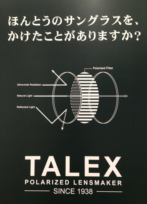 TALEX  本当のサングラス ここにあります！