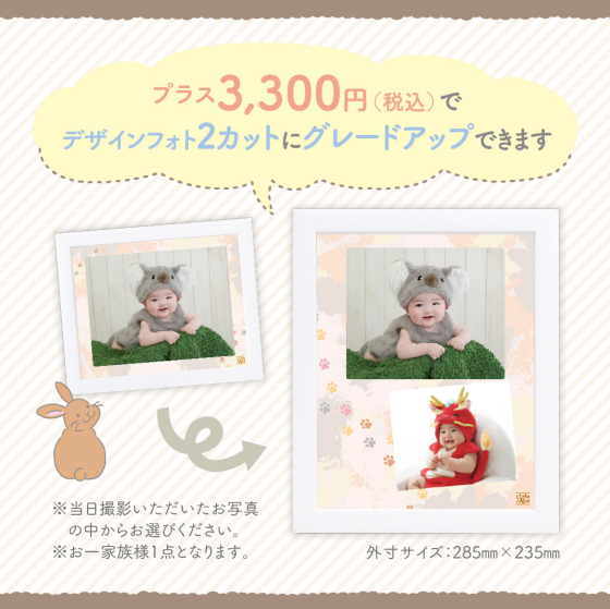 🐨7月末まで！赤ちゃん着ぐるみ撮影会🐨
