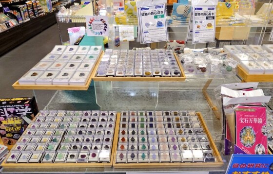 化石鉱物フェア開催中！