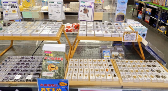 化石鉱物フェア開催中！