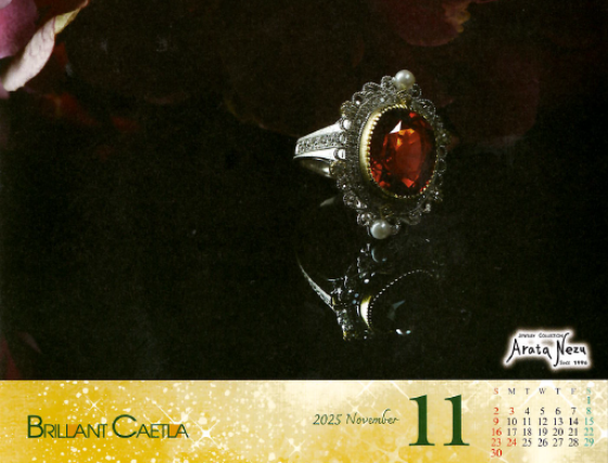 2025年11月 カレンダー