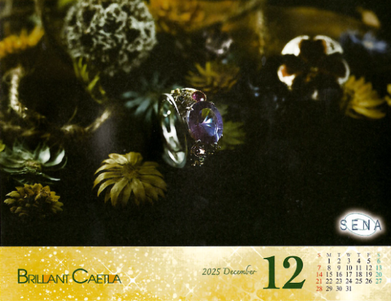 2025年12月 カレンダー