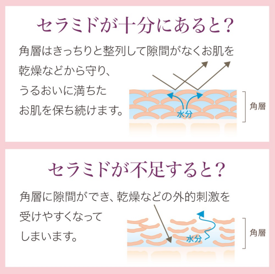👀その乾燥‼️セラミドが不足しているかも❓❓