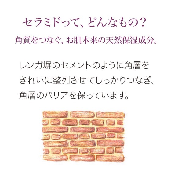 👀その乾燥‼️セラミドが不足しているかも❓❓