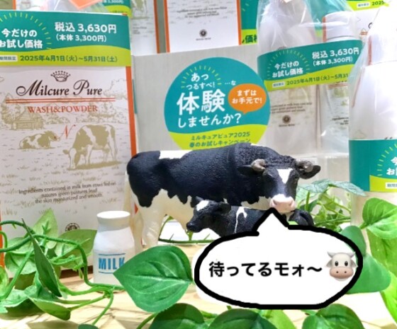 やみつきのつるん感❗️ハウスオブローゼ洗顔料　人気No.1* 今だけのお試し価格☺️