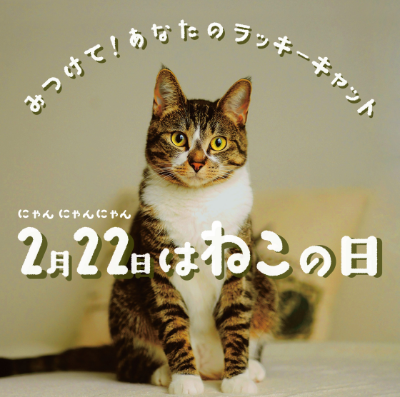 にゃん にゃん にゃん 猫の日｜ショップニュース｜イオンタウン黒崎