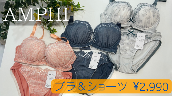 ￥2,990★ブラ&ショーツセット