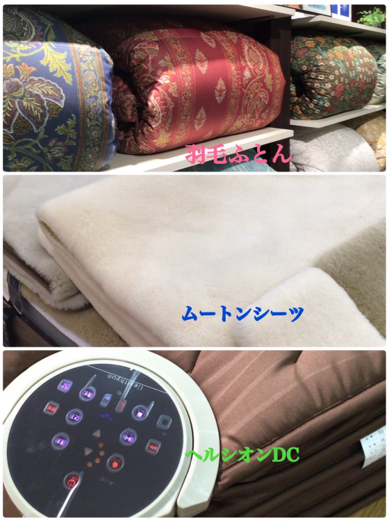 体験キャンペーン