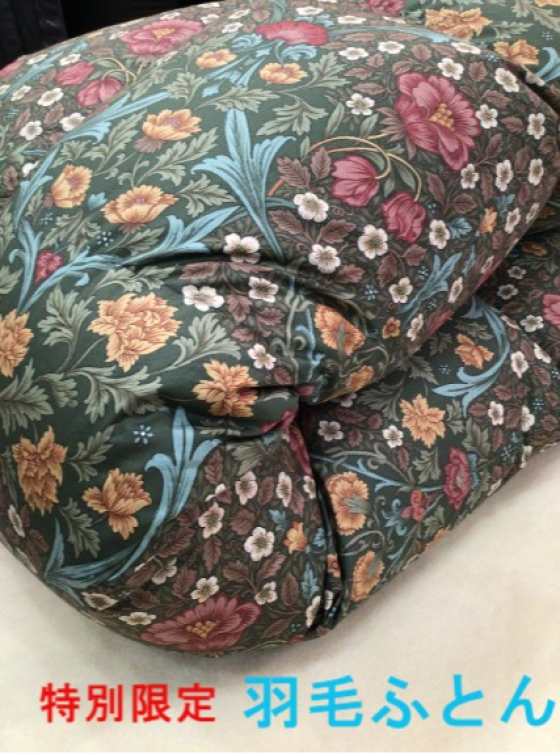 ジャーマンホワイトグース95％