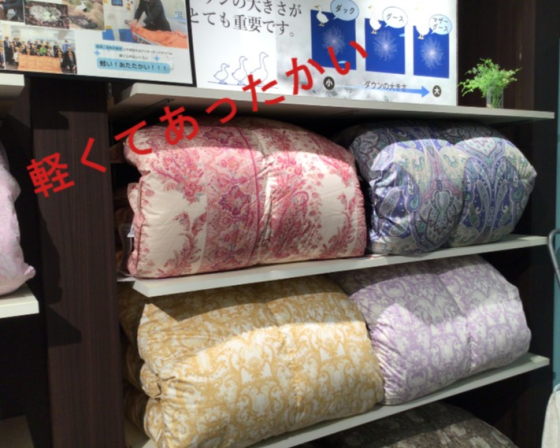 羽毛ふとん入荷しました