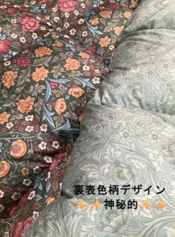 ジャーマンホワイトグース95％