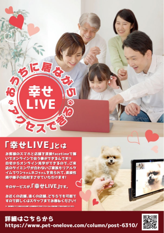 【幸せLIVE】お客様と新しい家族の架け橋　ワンラブの幸せLIVEのご紹介