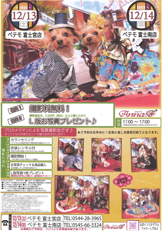 アンナファクトリーの プロカメラマンによるペットの撮影会