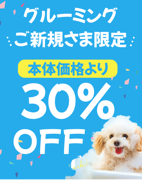 グルーミングご新規さま限定コース本体価格30%OFF