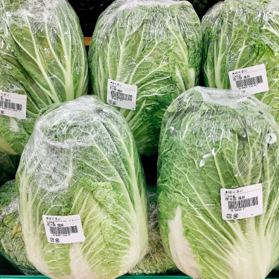 とれたて元気市