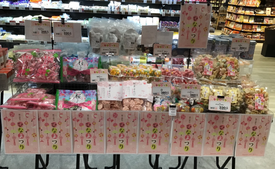 🌸花咲くひな祭り🎎🌸