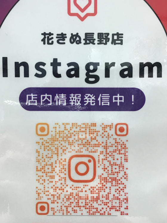 インスタ&TikTok始めました